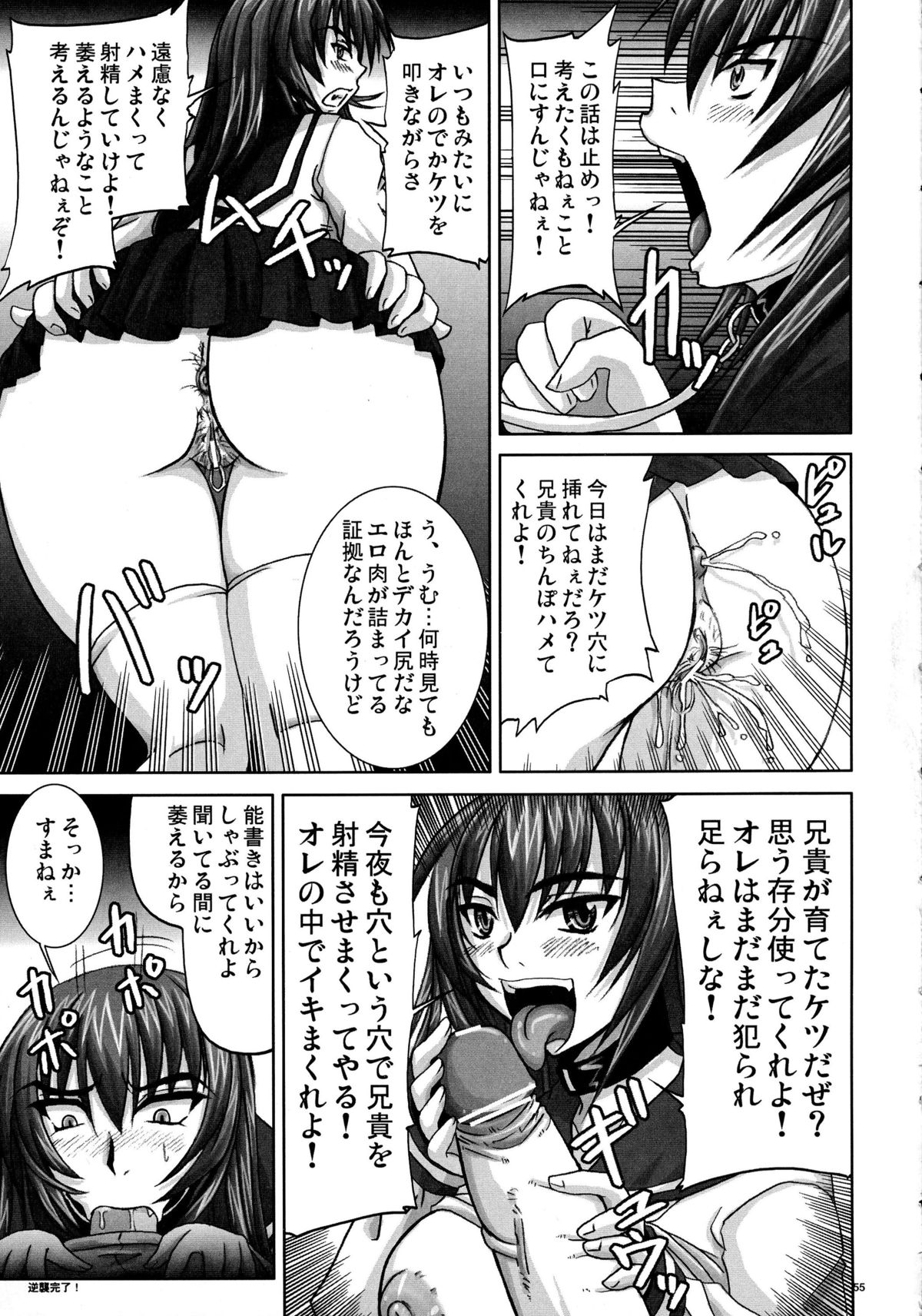 (C71) [Nozarashi (Nozarashi Satoru)] Gyakushuu no Kyouhime-sama page 55 full