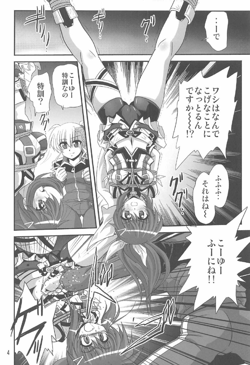 (C91) [Thirty Saver Street (Maki Hideto, Sawara Kazumitsu)] Storage Bind 5 (Mahou Shoujo Lyrical Nanoha) page 3 full