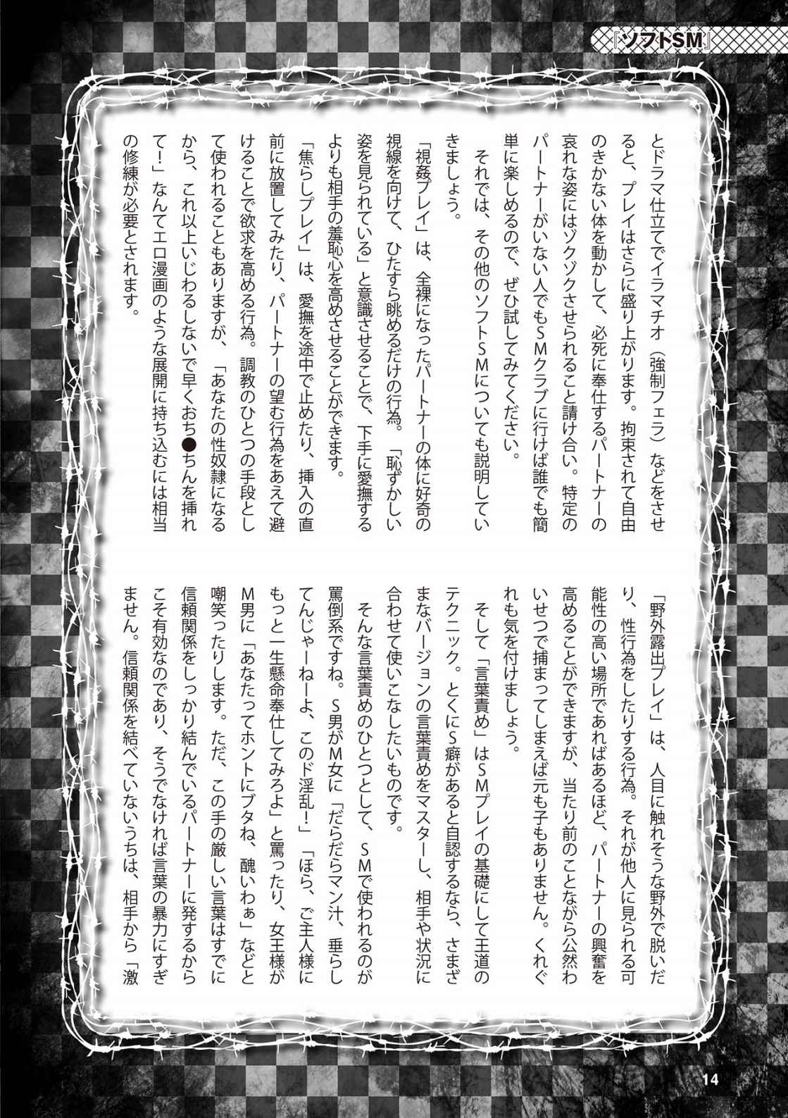 アブノーマル風俗入門 ラブドール風俗から、1000万円の風俗嬢まで page 16 full