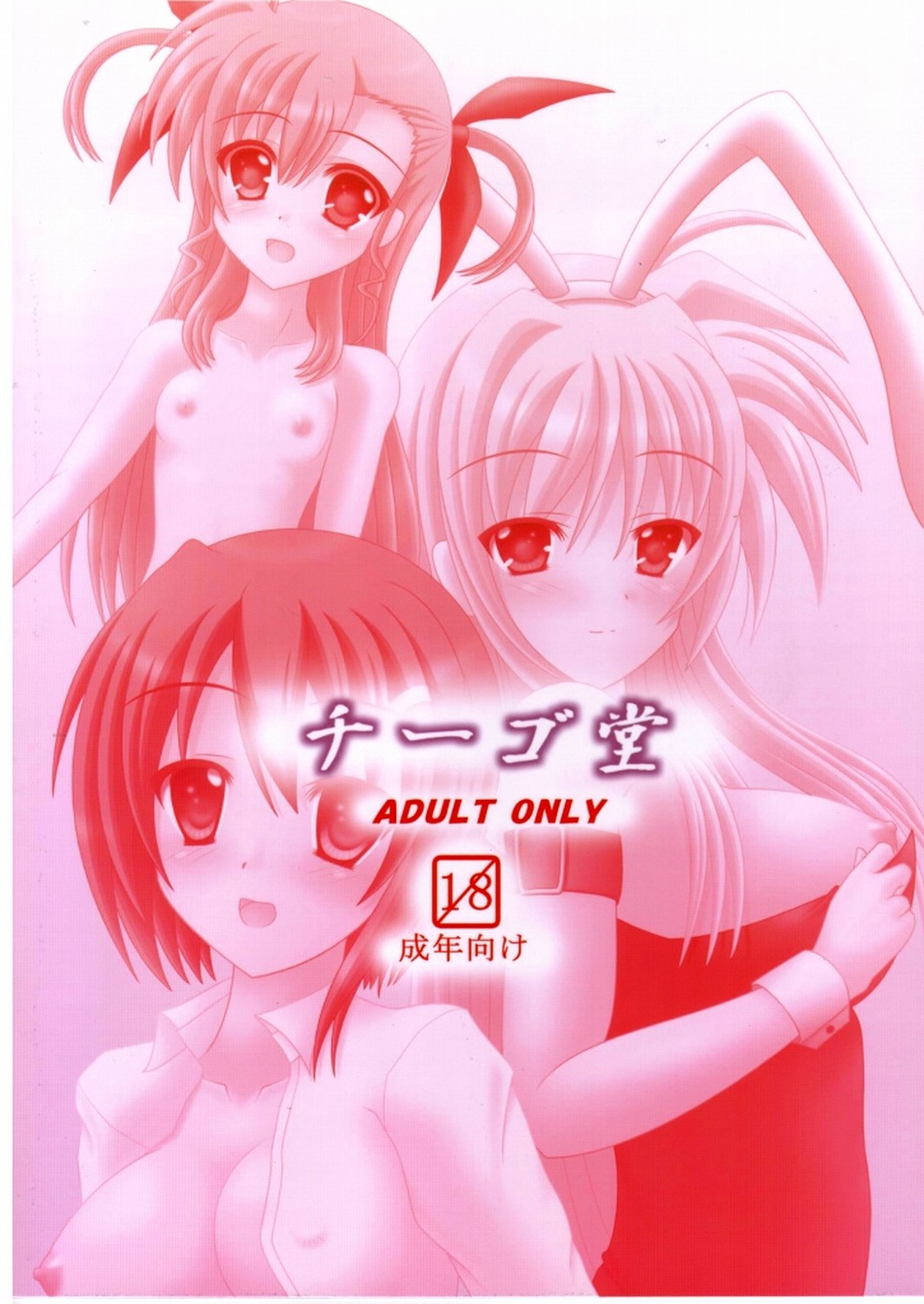 [chiigo dou] Oppai TRANS-AM (Magical Girl Lyrical Nanoha) page 12 full