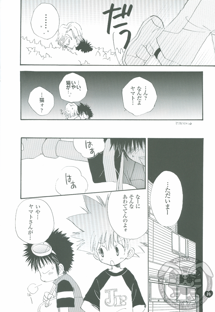 [Atsu Atsu COOK (Katagari Atsuko)] Guru Guru Triangle (Digimon Adventure 02) page 20 full