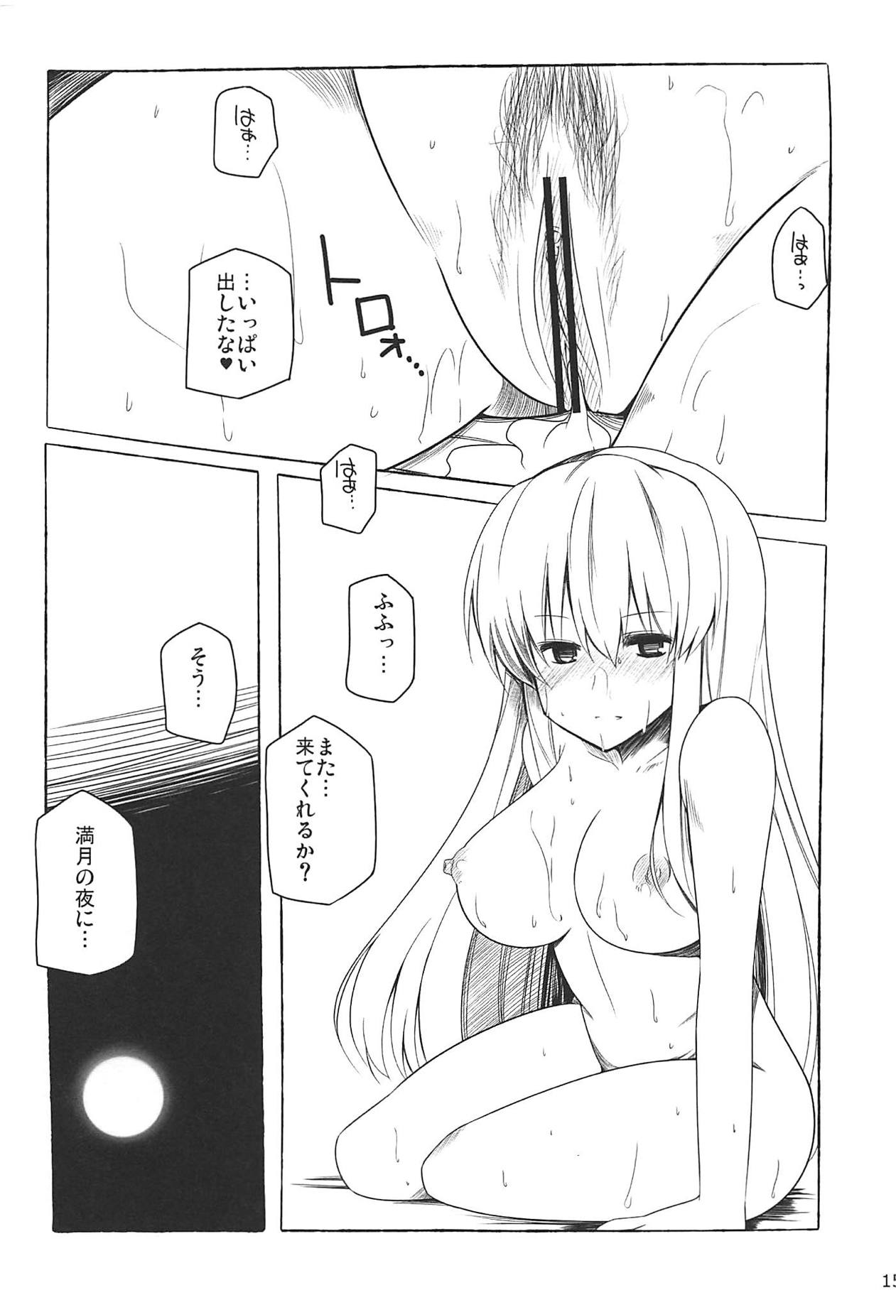 (Reitaisai 9) [RODEO (Yoshida)] metamo (Touhou Project) page 14 full