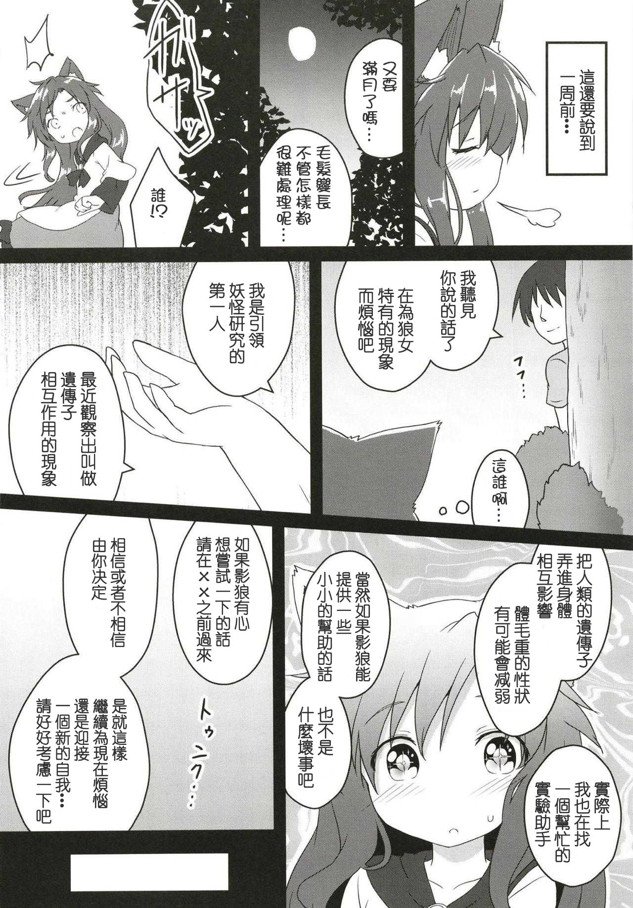 (C94) [Gainamon (Natsu no Koucha)] Maid in Wolf (Touhou Project) [Chinese] [狗东西汉化组] page 4 full