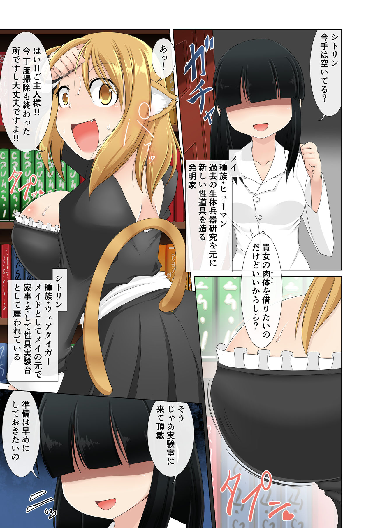 [Fukakutei Kuukan (aruva)] Injuu meido shitorin aitemu II - enkaku sex page 2 full