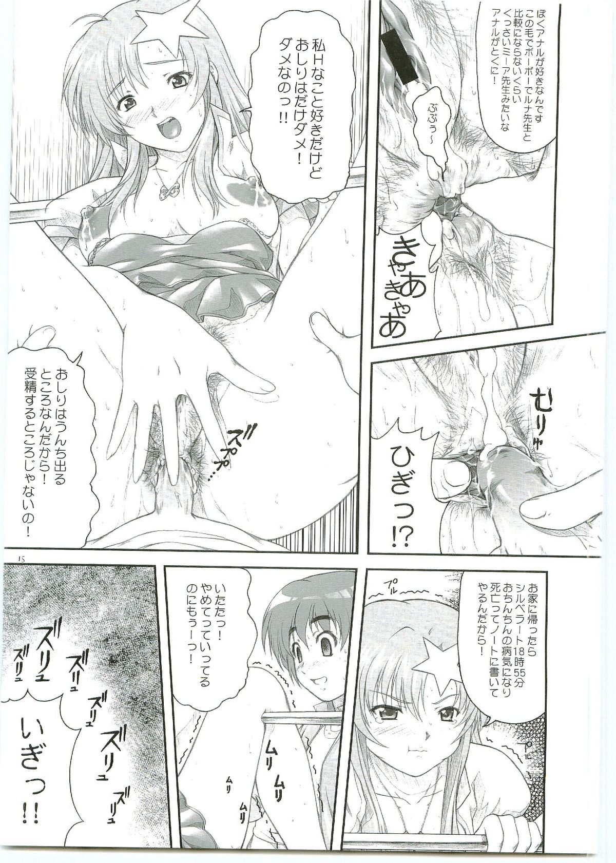 [Otogiya] ...Shinai no? Meer Sensei -C69VERSION- (Jidou Senshi Gundam SEED DESTINY / Mobile Suit Gundam SEED DESTINY) page 15 full