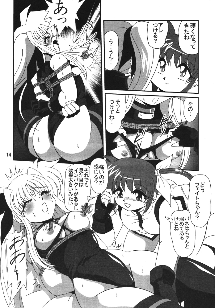 [Thirty Saver Street 2D Shooting] Storage Ignition 2 (Mahou Shoujo Lyrical Nanoha / Magical Girl Lyrical Nanoha) page 14 full