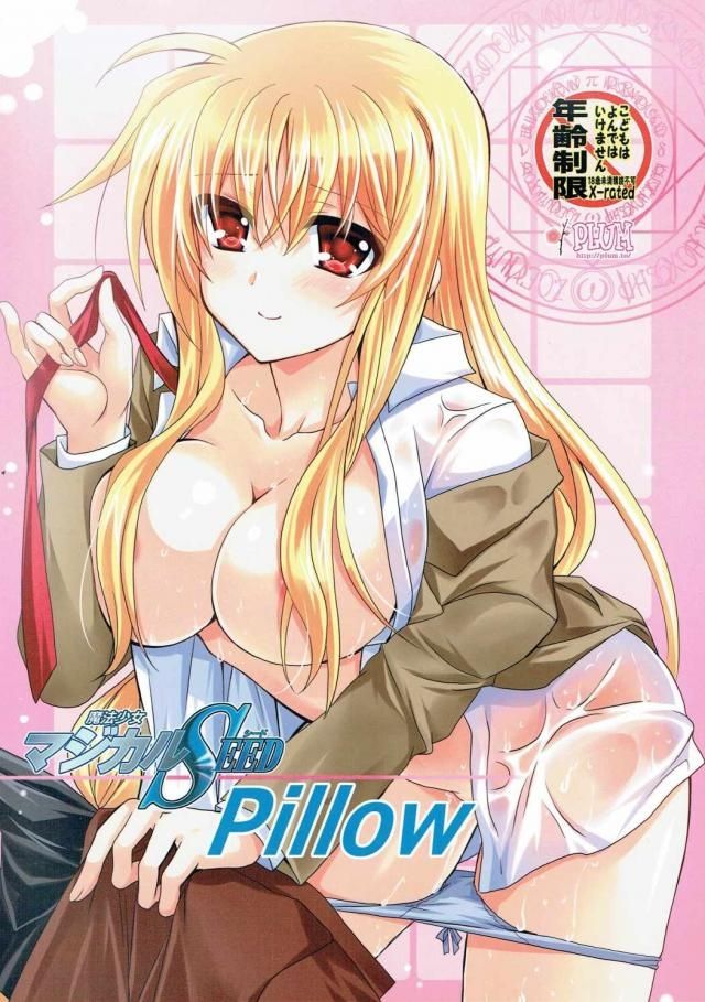 (SC2016 Autumn) [PLUM (Kanna)] Magical SEED Pillow (Mahou Shoujo Lyrical Nanoha) page 1 full