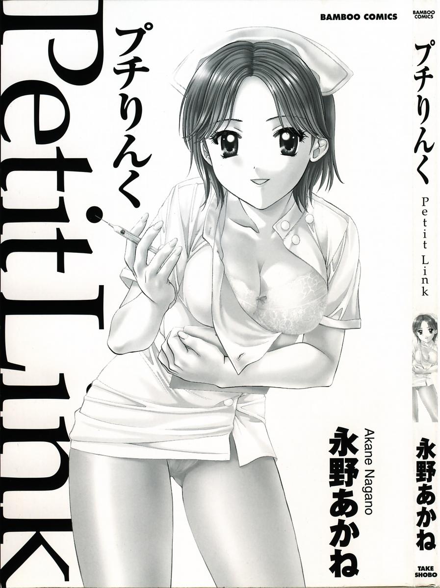 [Nagano Akane] Petit Link page 2 full