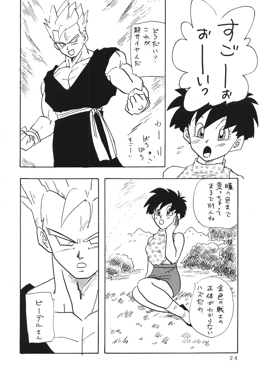 (C45) [Chirigami Goya, Fusuma go Ten (Shoji Hariko)] XXX (DRAGON BALL) page 23 full