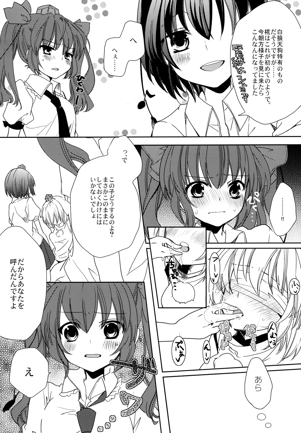 (C84) [N.S.project (Zaneri, Maka Kiseki)] Momiji Ijiri (Touhou Project) page 5 full