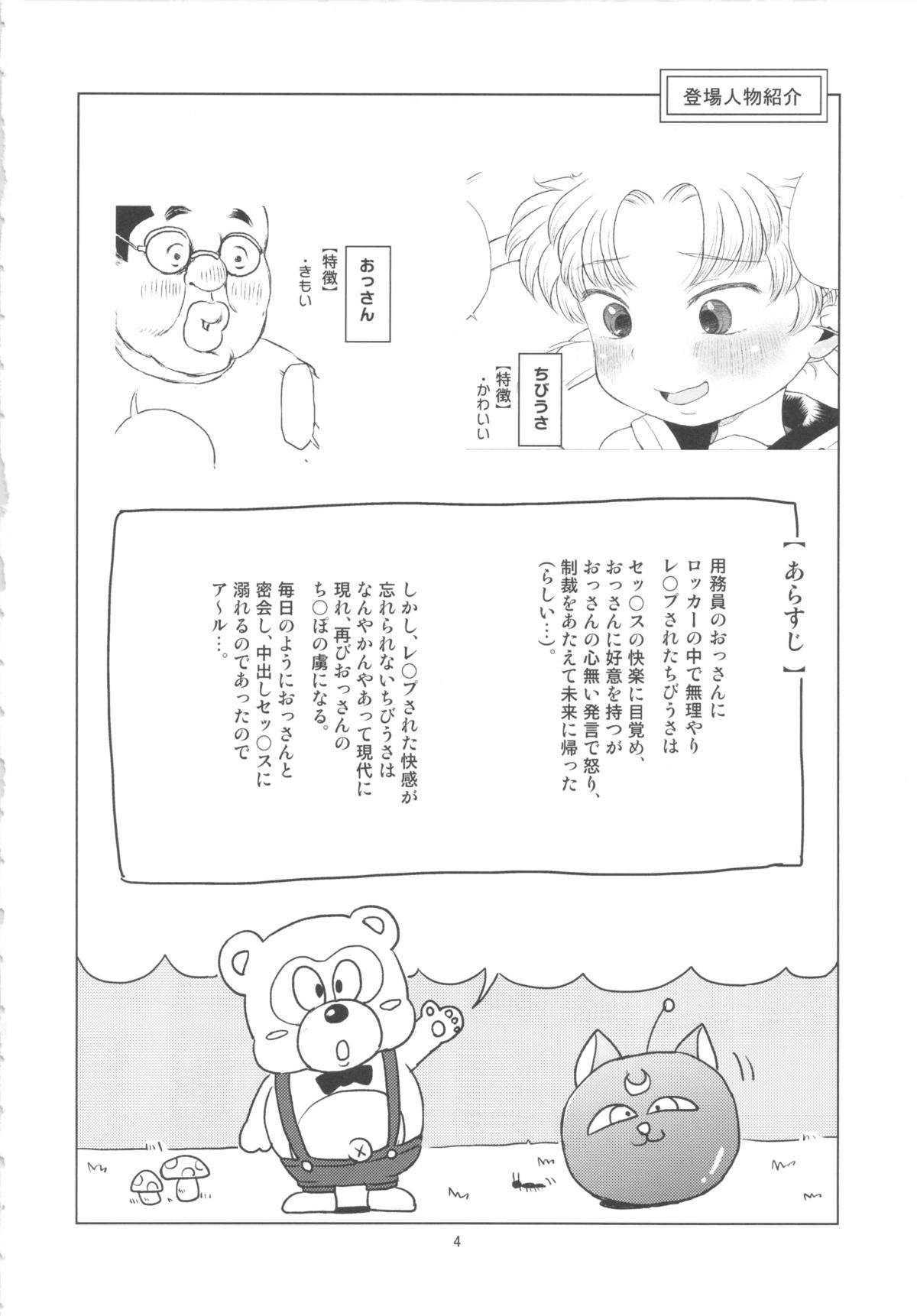 (C83) [Hitsuji Drill (Ponpon Itai)] Chibiusa no Himitsu Diary (Bishoujo Senshi Sailor Moon) page 3 full