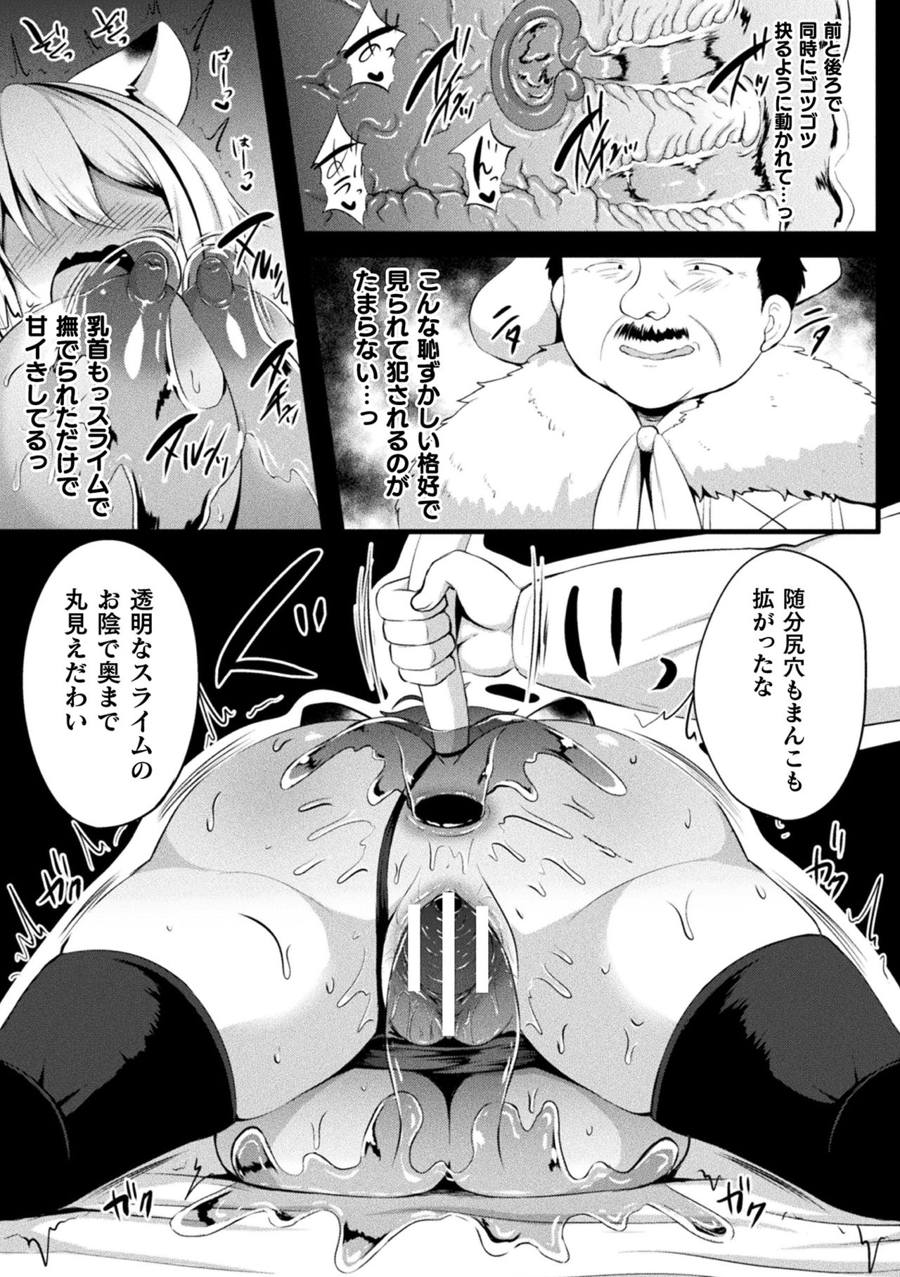 [Anthology] 2D Comic Magazine Slime Kan Niana Seme de Funsyutsu Acme Vol. 2 [Digital] page 17 full