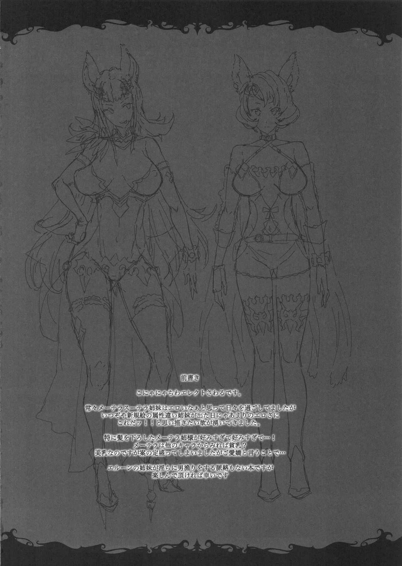 (C90) [ERECT TOUCH (Erect Sawaru)] BITCH & BITCH (Granblue Fantasy) page 3 full