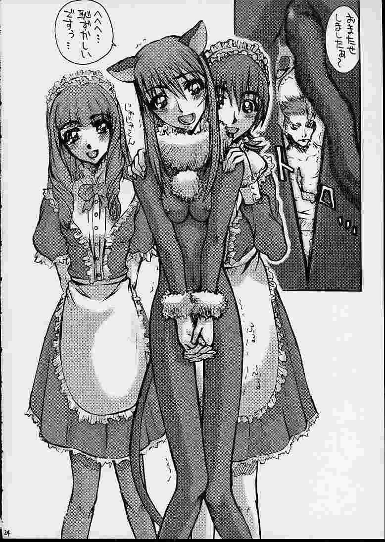[Fukupukutei] A House Cat (Sakura Taisen) page 23 full
