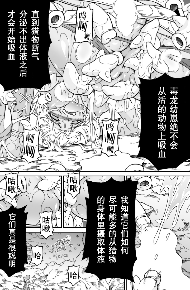 [Yokohama Junky (Makari Tohru)] Solo Hunter no Seitai 4.1 THE SIDE STORY (Monster Hunter) [Chinese] [无毒汉化组] page 9 full