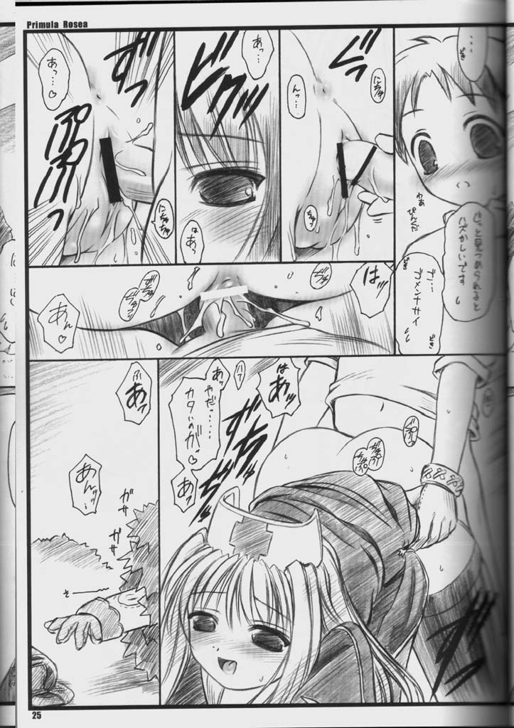 (C65) [Yakan Hikou (Inoue Tommy)] PRIMULA Rosea (Ragnarok Online) page 24 full