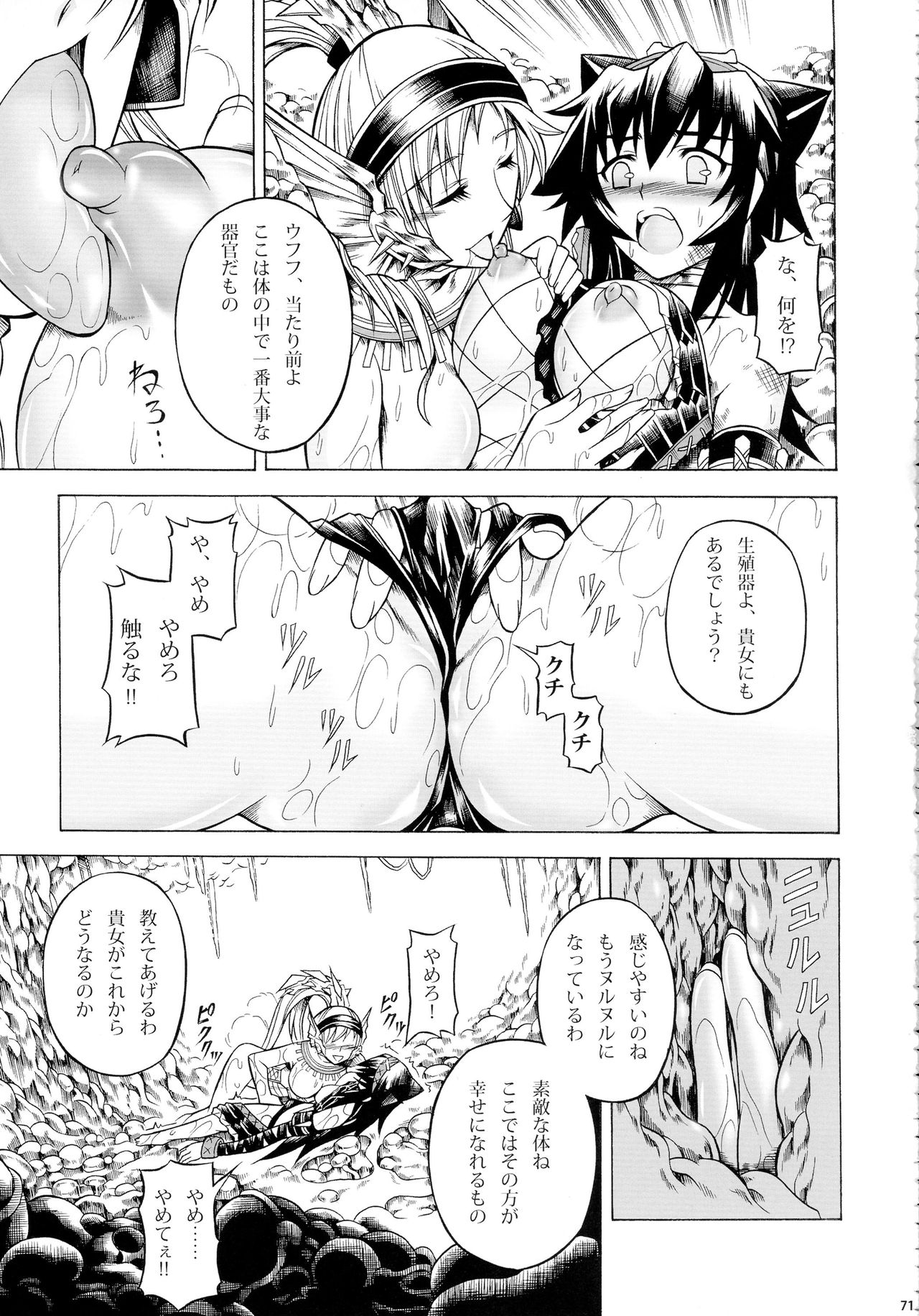 (C90) [Yokohama Junky (Makari Tohru)] Solo Hunter-tachi no Seitai (Monster Hunter) page 71 full