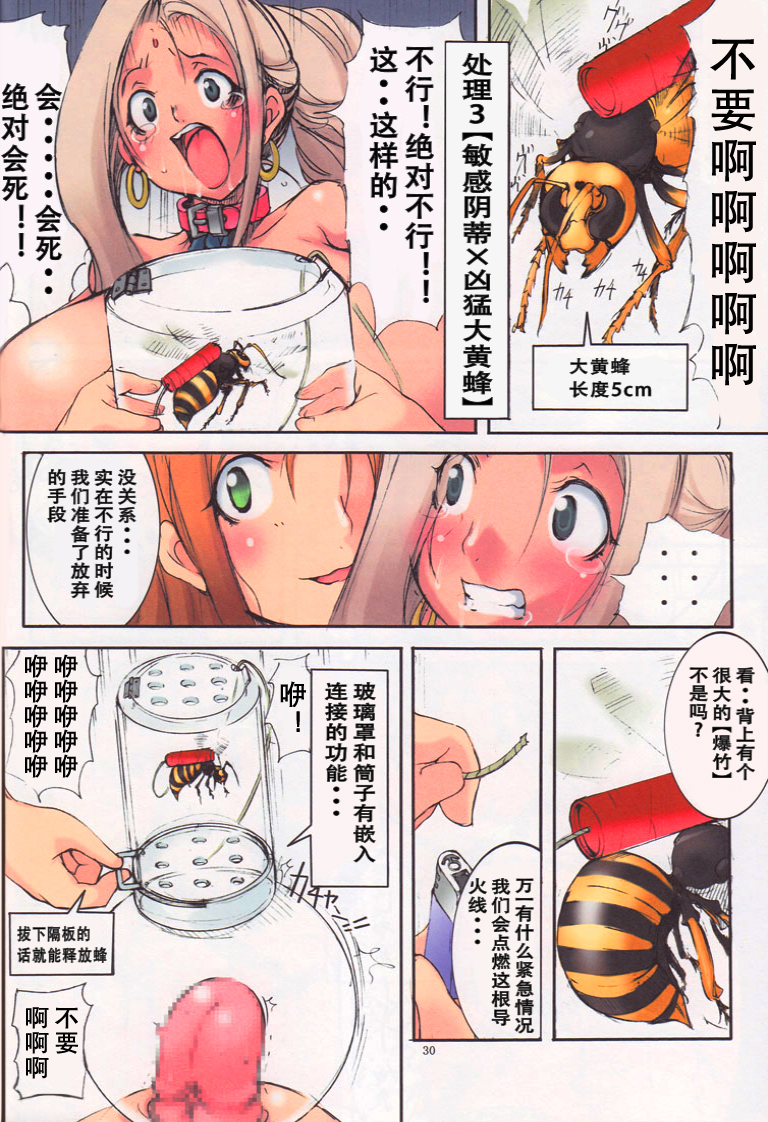 (COMITIA 90) [Algolagnia (Mikoshiro Honnin)] St.Margareta Gakuen Black File [Chinese] [巫毒汉化组] page 29 full