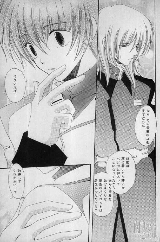 [Mutsuharu (Kagami Haruki)] Love Scramble (Gundam SEED DESTINY) page 12 full