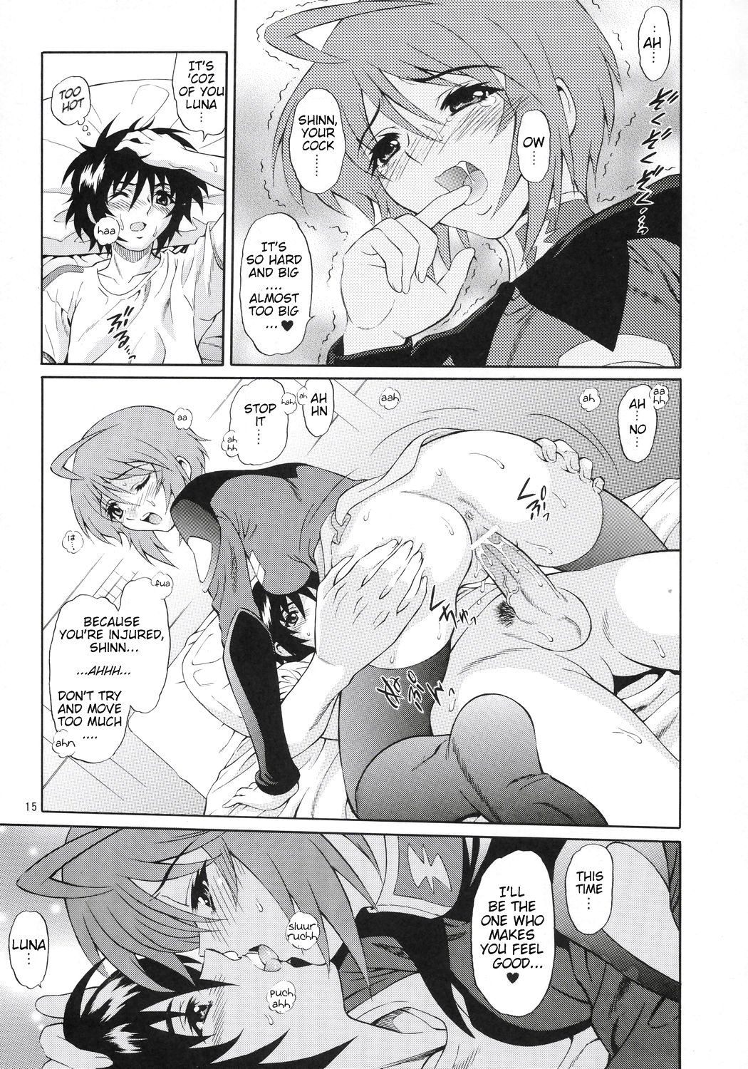 (C70) [GUST (Harukaze Soyogu)] Burning!! 3 (Mobile Suit Gundam SEED DESTINY) [English] [Rhapfan] page 14 full