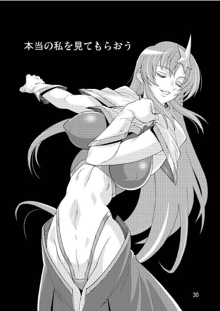 (C70) [Oregun (Shibari Kana)] MEER ALIVE (Kidou Senshi Gundam SEED DESTINY [Mobile Suit Gundam SEED DESTINY]) page 29 full