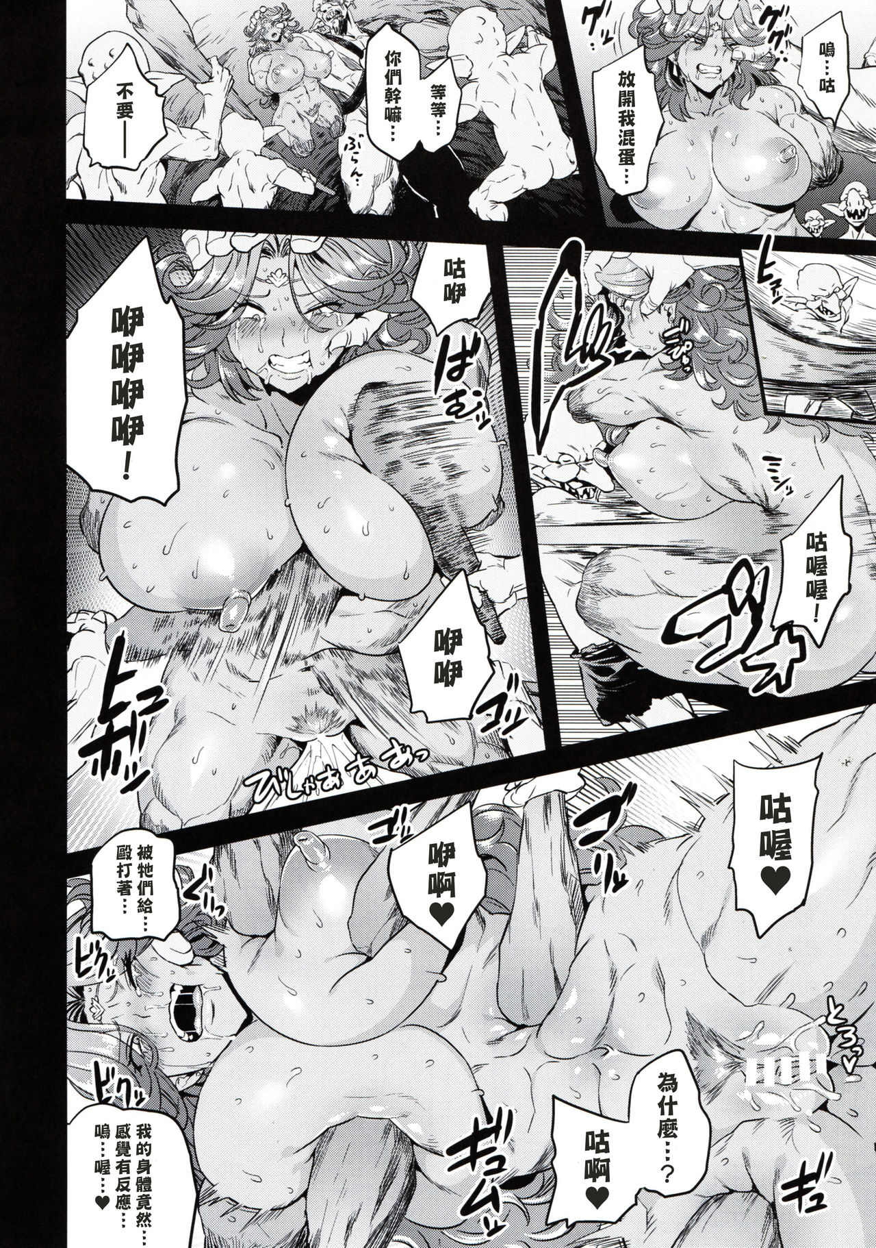 (C95) [OVing (Obui)] Goblin Lord ga Katta Hi + Omakebon (Goblin Slayer) [Chinese] [塔布里斯個人漢化] page 18 full