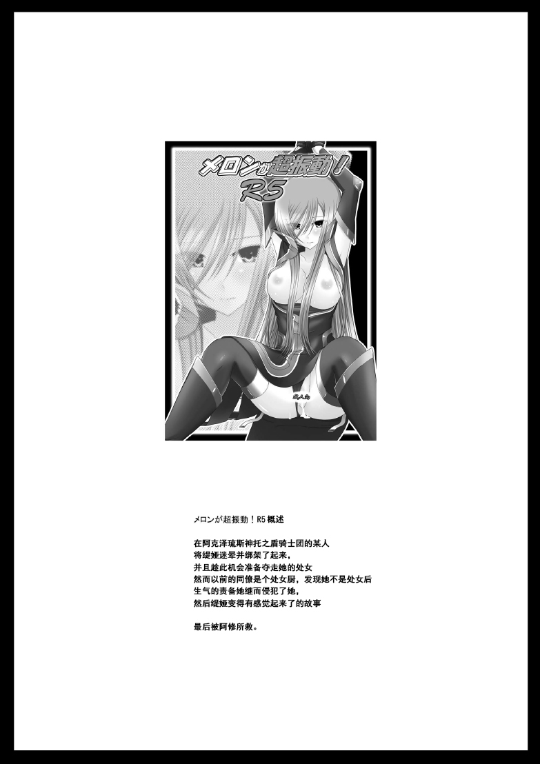 [valssu (Charu)] Melon ga Chou Shindou! R6 (Tales of the Abyss) [Chinese] [流星汉化] [Digital] page 3 full
