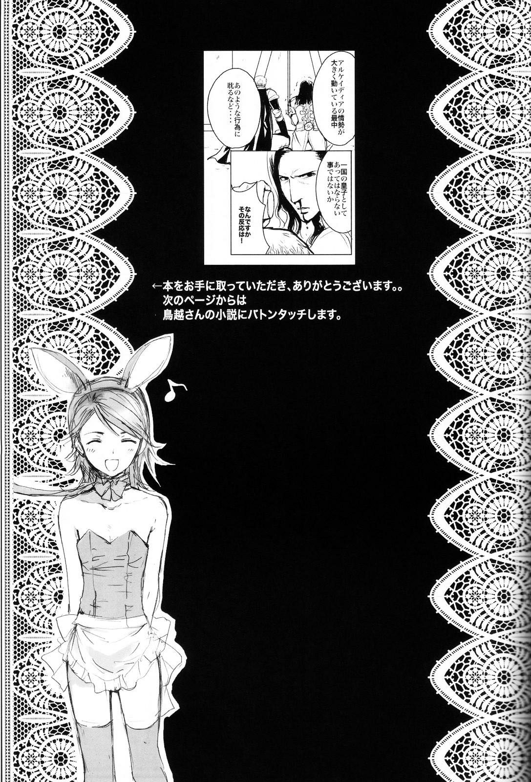 (C73) [EGOISM (Kasukabe Akira, Torigoe Yayoi)] Hypo Catalog (Final Fantasy XII) page 20 full