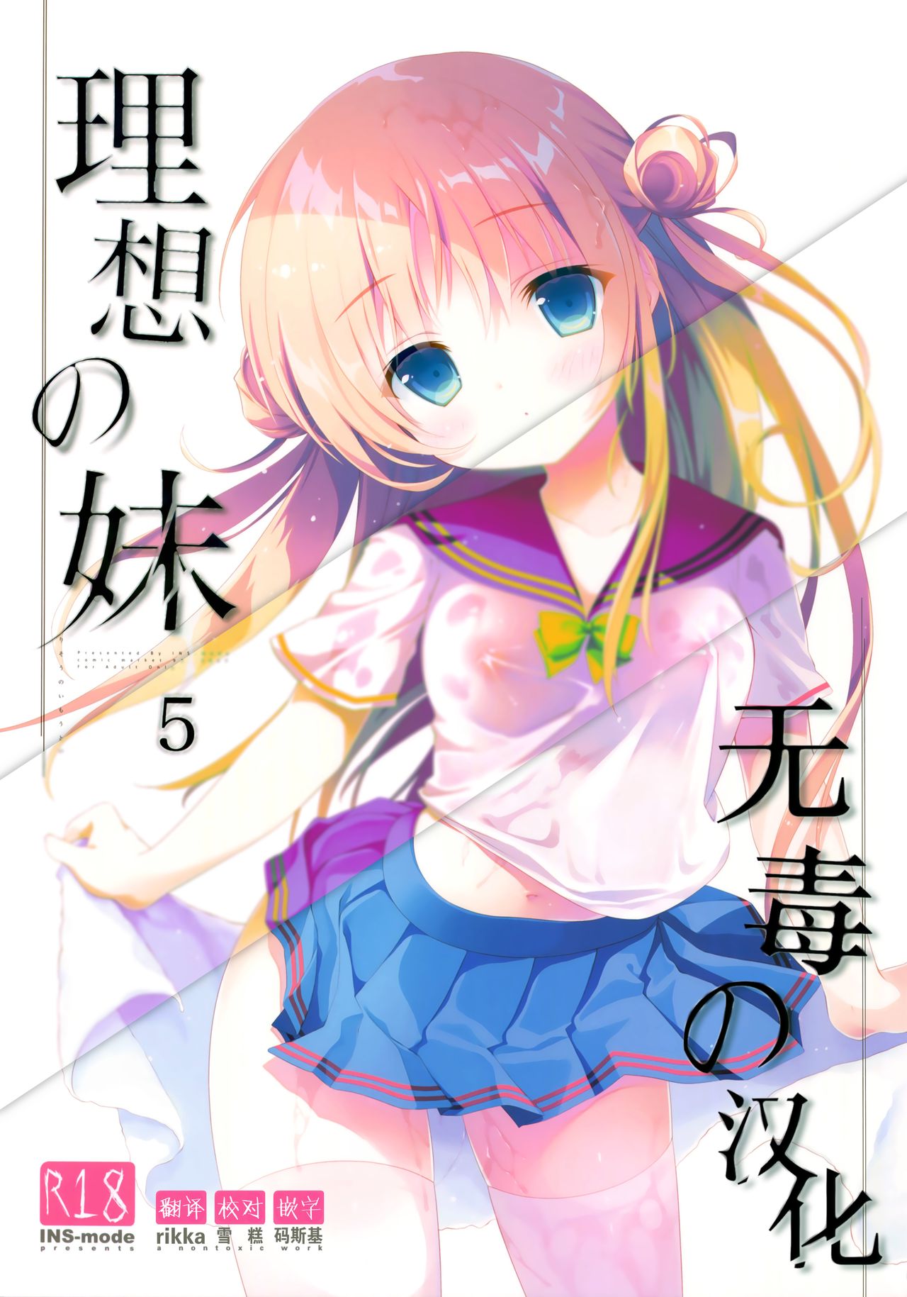 [INS-mode (Amanagi Seiji)] Risou no Imouto 5 [Chinese] [无毒汉化组] [2017-08] page 1 full