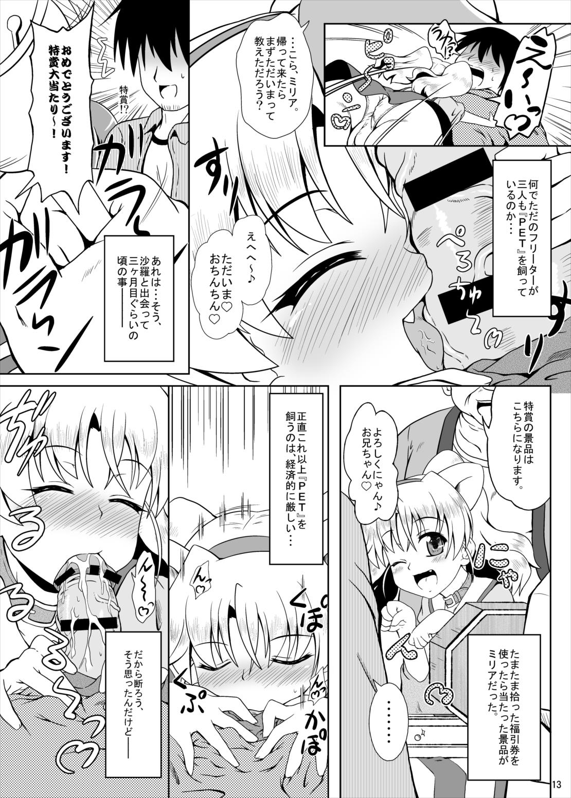 (C79) [Kamepotel (Izuki Jirou)] Freeter, Pet o kau!? (Jewelpet Twinkle) page 12 full