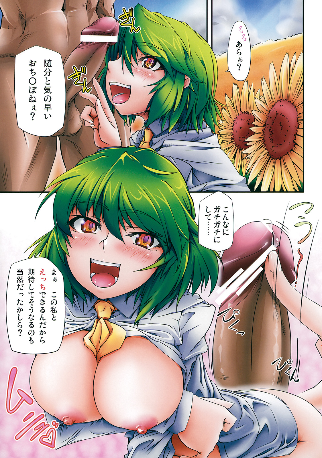 (C78) [Kaibidou (Hyakkei)] Colorful flower (Touhou Project) page 4 full