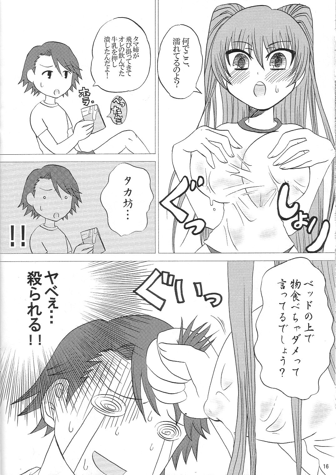 (SC29) [HONEY BUMP, Platina Blonde (Nakatsugawa Minoru, Mizutama)] Kahlua Milk (ToHeart 2) page 15 full