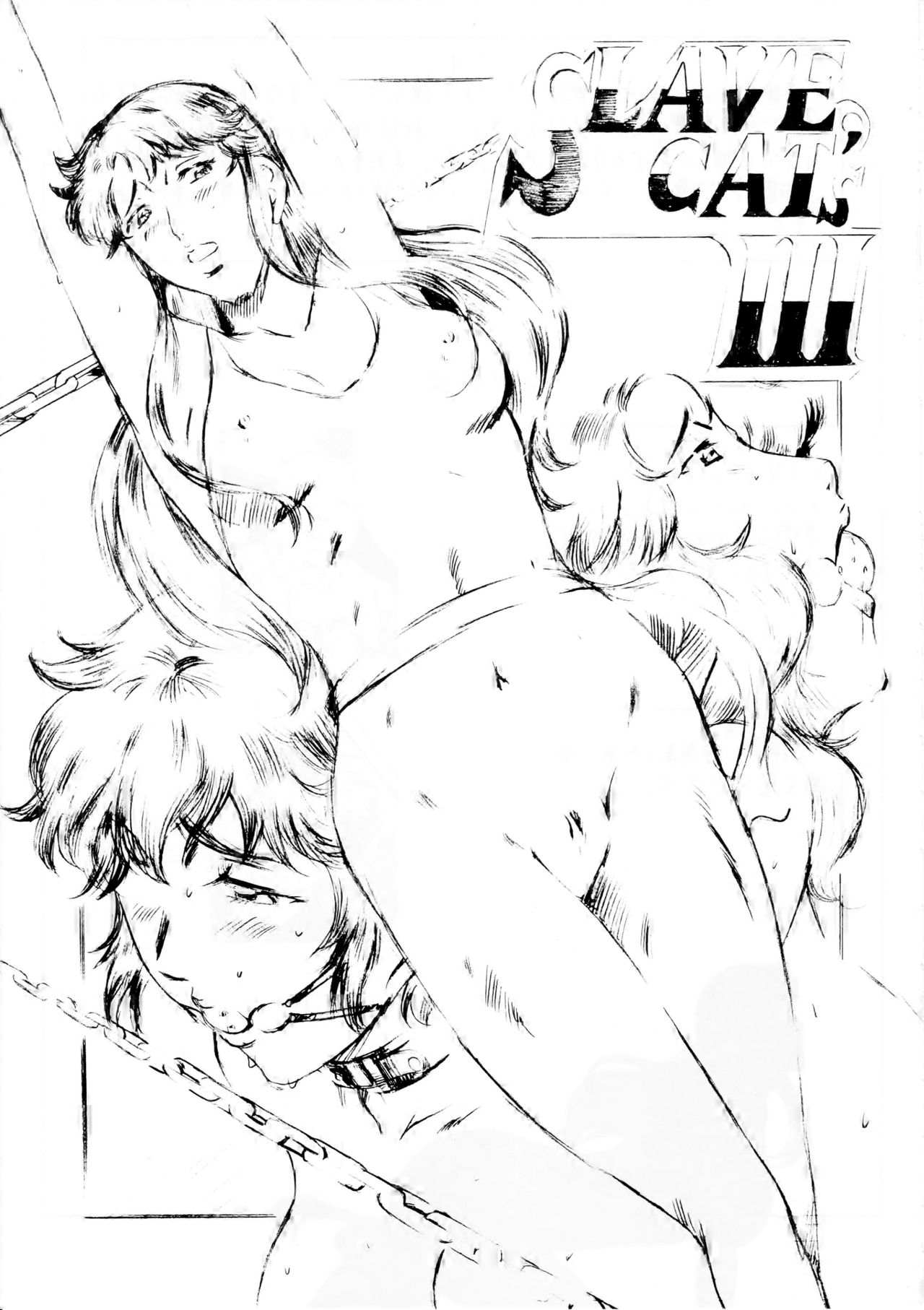 [Busou Megami (Kannaduki Kanna)] SLAVE CAT's III (Cat's Eye) [Chinese] [不咕鸟汉化组] page 2 full