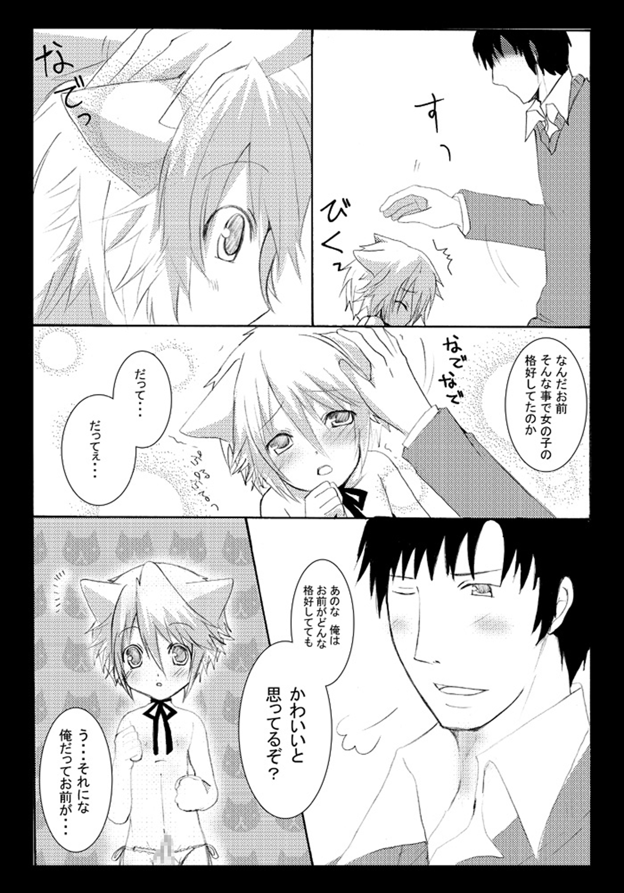 [Seiwa Kanmu (Tamaru)] Nyanko to Nyan Nyan [Digital] page 11 full