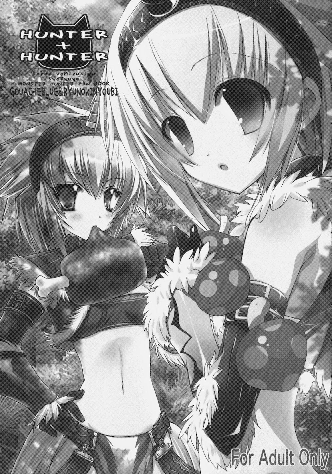 (C77) [GOUACHE BLUE (Mizushima Sorahiko) & Ryuu no Kinyoubi (Ryuga Syo)] HUNTER＋HUNTER (Monster Hunter) page 2 full
