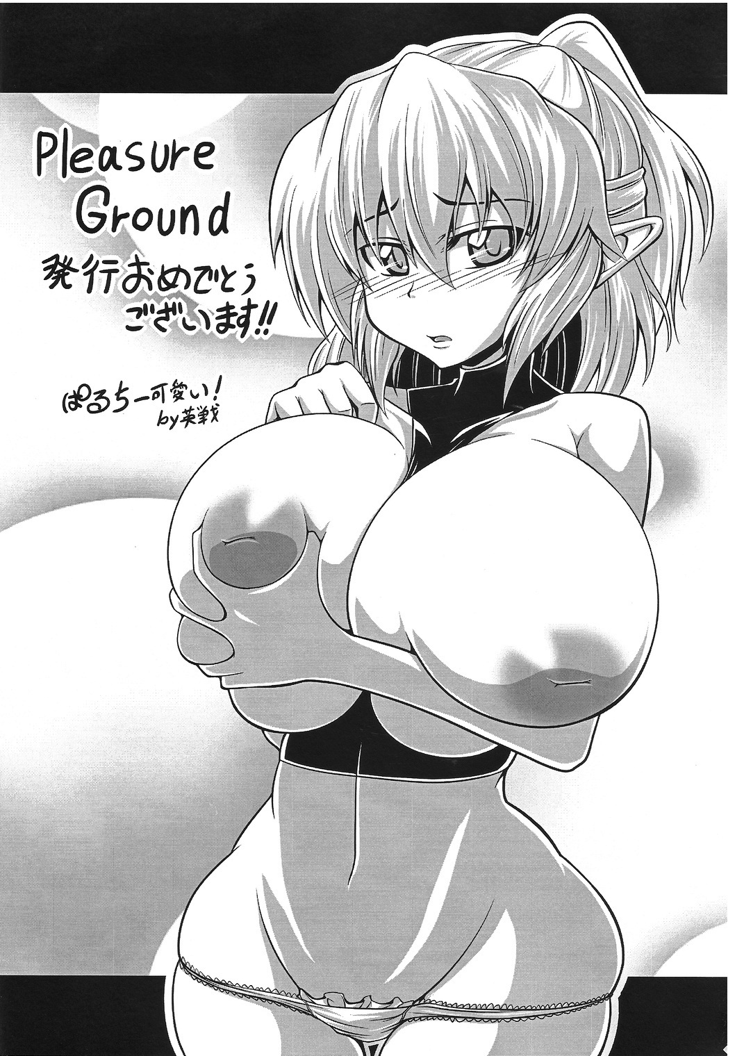 (C78) [Kougeki (Ootsuki Wataru)] Pleasure Ground (Touhou Project) [English] [gentletemptl] page 40 full