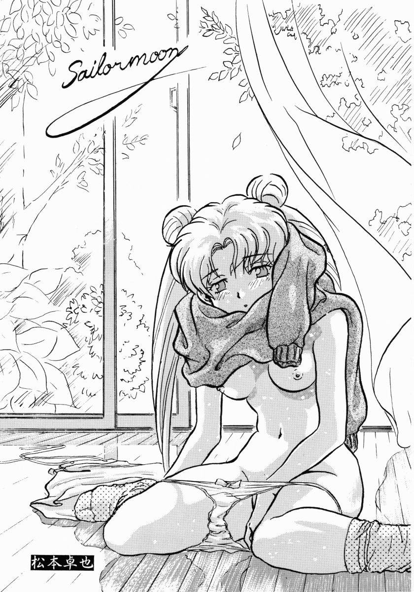 Henreikai Premium (Sailor Moon) page 24 full