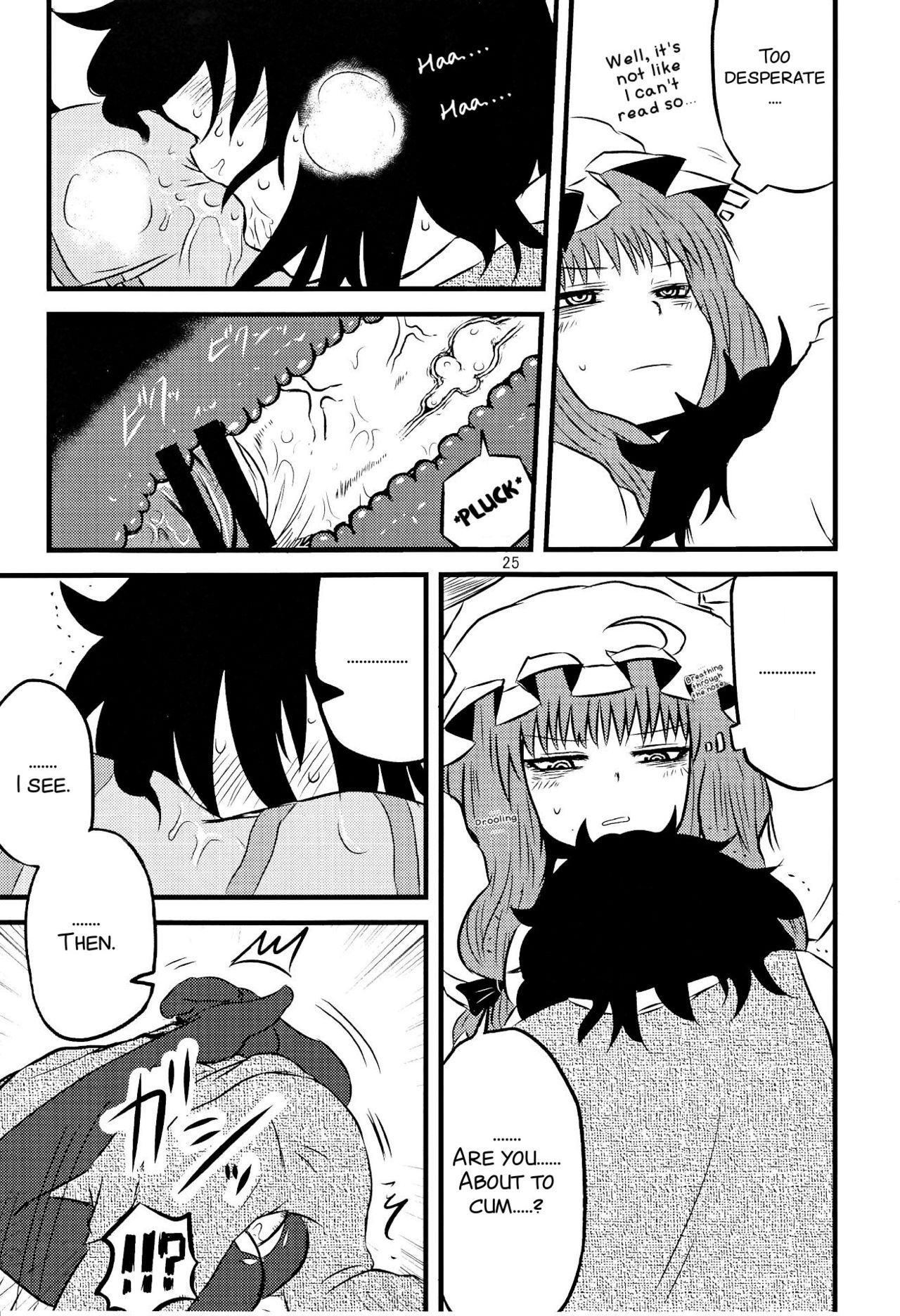 (C82) [Fugodoku (Katou Fuguo)] SURUDAKE Ni. (Touhou Project) [English] [SMDC] page 25 full