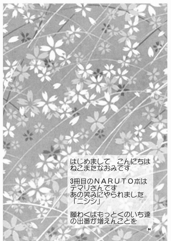 (C66) [NEKOMATAYA (Nekomata Naomi)] Hana Temari (NARUTO) page 4 full