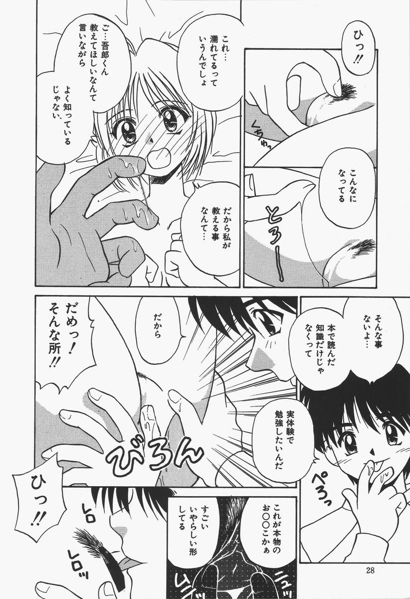 [Donkey] Yokan ha Tokimeki Crystal page 28 full