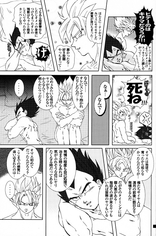 [GREFREE (ema)] Blaze (DRAGON BALL Z) page 15 full