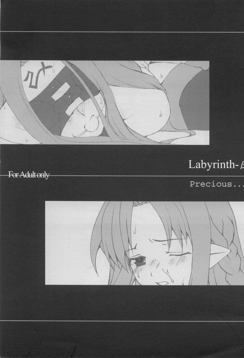 (CR35) [Precious... (Haoto Luna)] Labyrinth-β (Fate/stay night) page 1 full