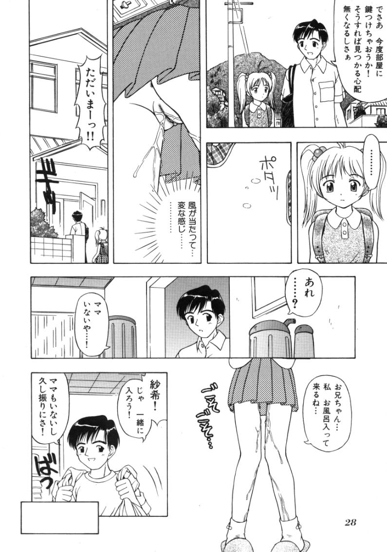 [Fujise Akira] Fujun Kazoku (Abnormal Family) page 28 full