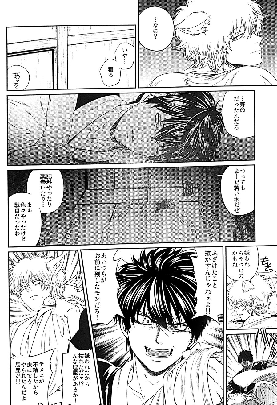 [Rundown (Torimochi)] Mebae (Gintama) page 27 full