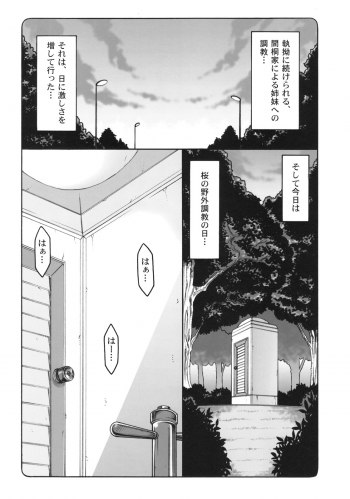 (SC47) [Abarenbow Tengu (Izumi Yuujiro)] Kotori 5 (Fate/stay night) - page 4