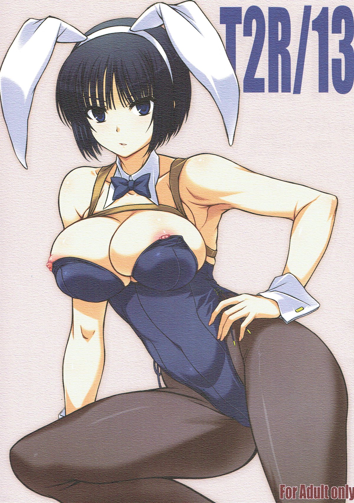 (C93) [BRIEST (Yatsushima Tetsuya)] T2R/13 (Various) page 1 full