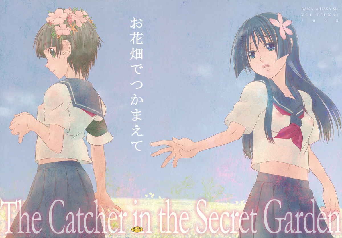 (C75) [Baka to Hasami (Tsukai You)] Ohanabatake de Tsukamaete - The Catcher In The Secret Garden (To Aru Kagaku no Railgun) page 27 full
