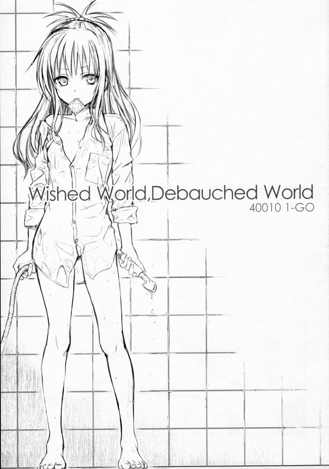 (C91) [40010 1-GO (Shimanto Shisakugata)] Wished World,Debauched World (To Love-Ru) [Chinese] [佳奈助汉化组] page 2 full