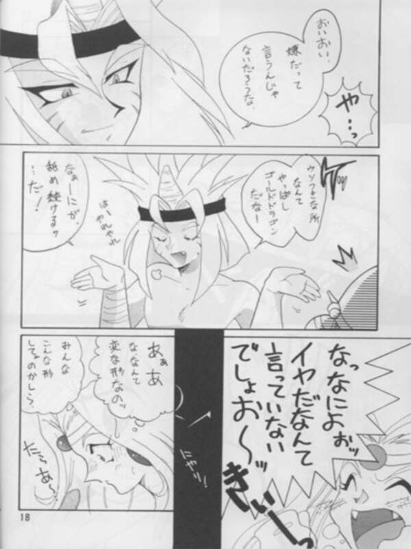 [Ginmomodou (Mita Satomi)] SLAYERS ADULT 3 (Slayers) page 17 full