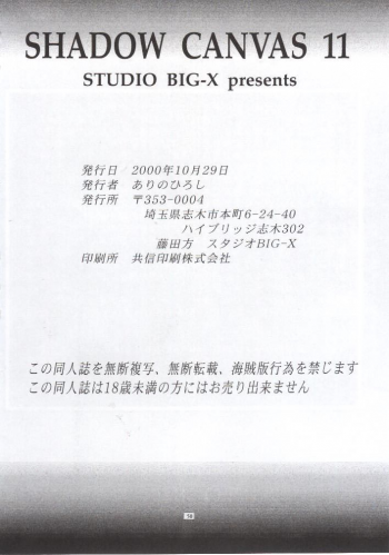 (CR28) [Studio BIG-X (Arino Hiroshi)] SHADOW CANVAS 11 (AIR) - page 49